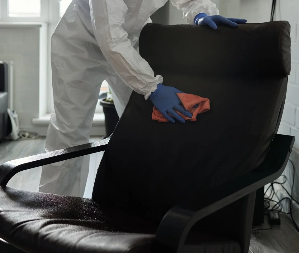 Gloved hands wiping the padded back of a dark upholstered armchair